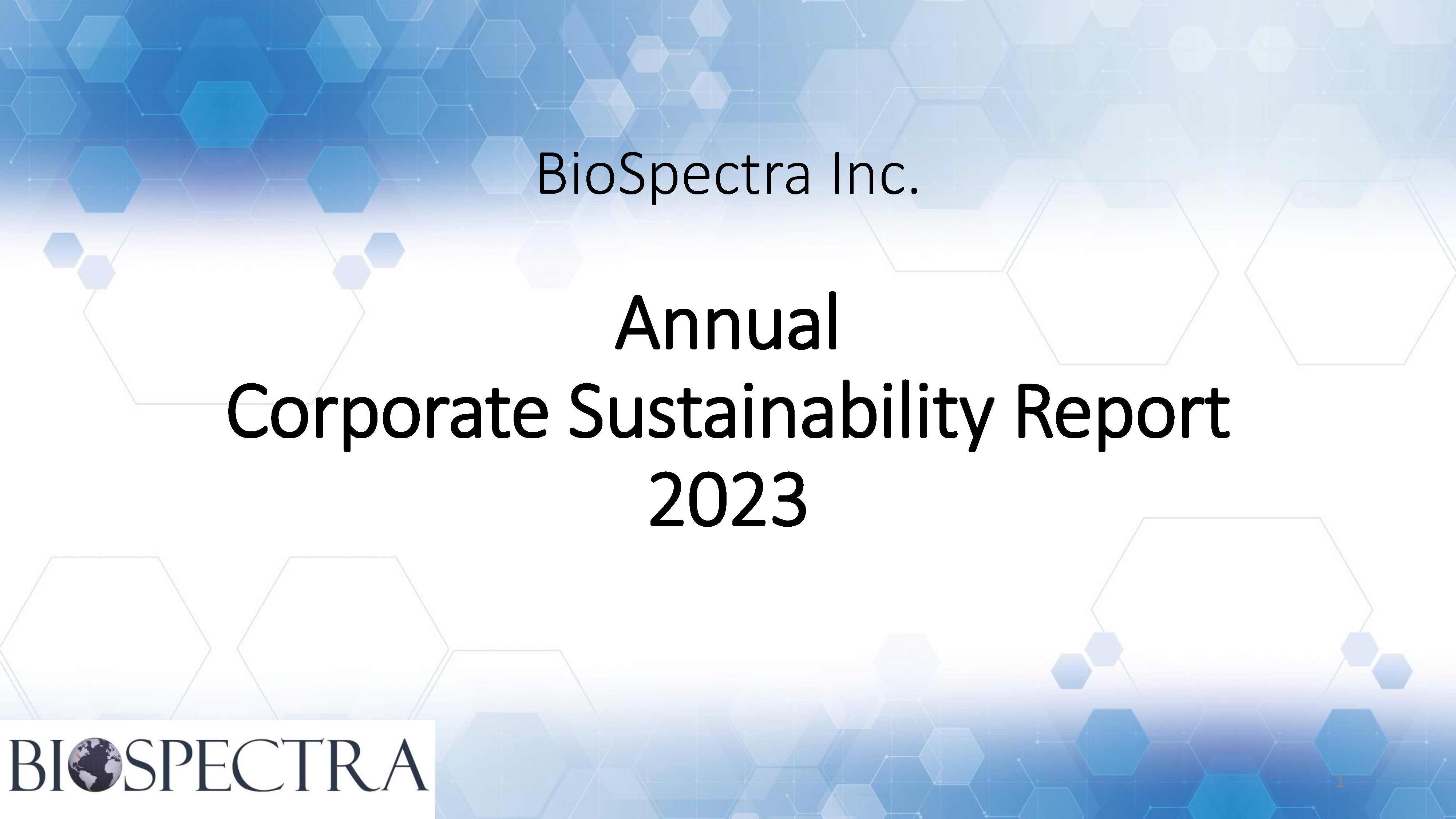 Corporate Sustainability Report PP (005) DEM 09.06.2024 V.1.1 Page 01